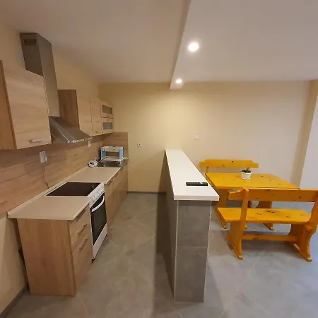 дамяновата къща Vilă Sapareva Bania